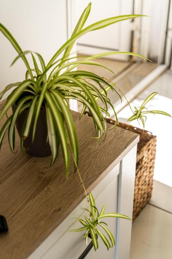 Villa Sainterne Le Bois de Nefles  外观 照片